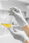 lab